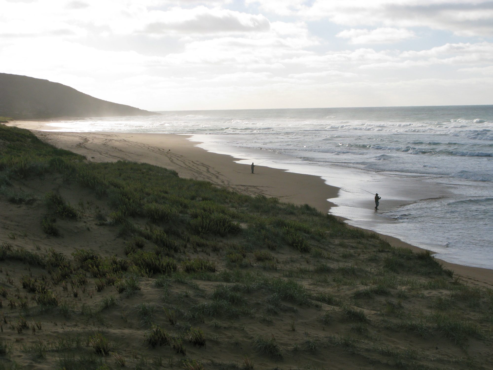 Waitpinga Cliffs Walk