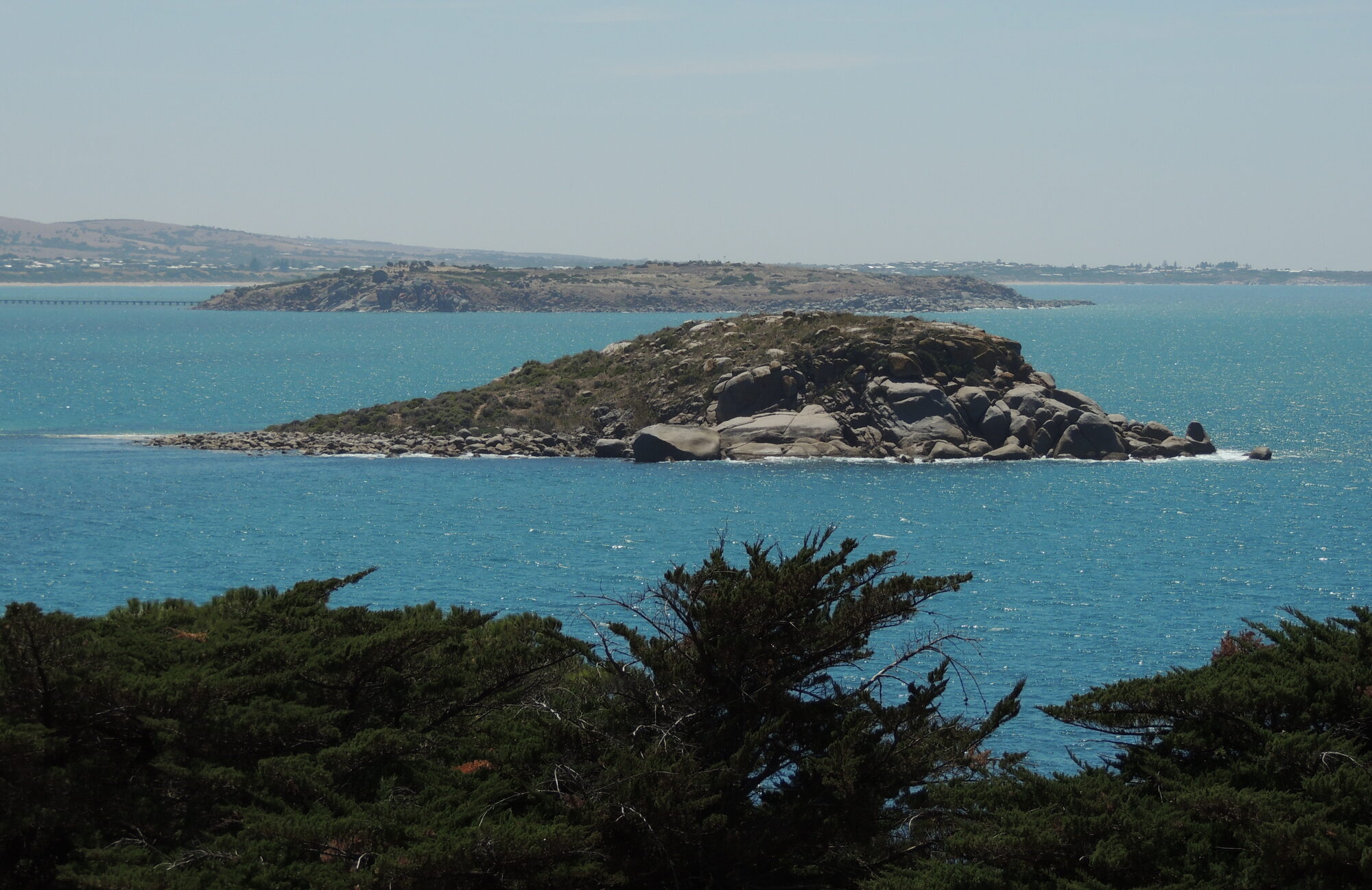 The Encounter: when Flinders met Baudin in Encounter Bay